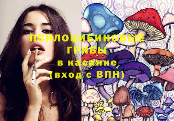 spice Абинск