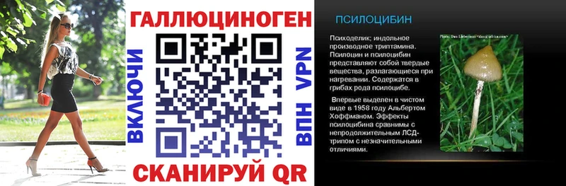 купить наркоту Новосиль Псилоцибиновые грибы Cubensis