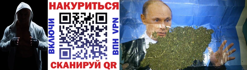 где можно купить Новосиль MEGA ссылка Шишки марихуана сатива
